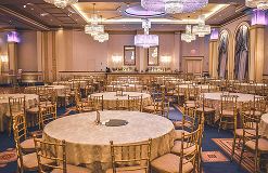 Conference